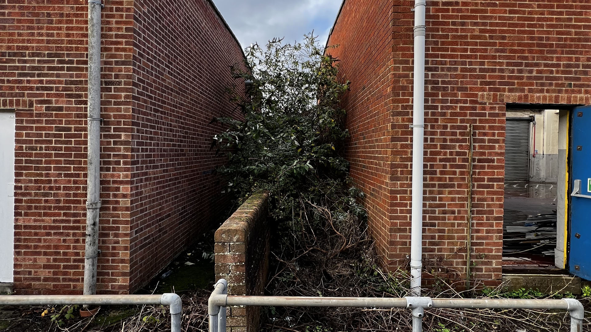 Who Should You Contact First — The Council, a Surveyor, or Your Neighbour Amersham?